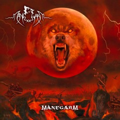 MANEGARM - Odin Owns Ye All