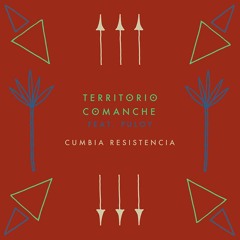 Cumbia Resistencia (feat. Puloy)