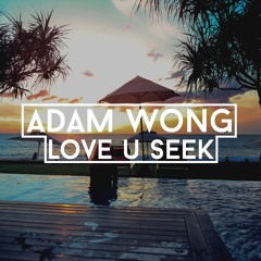Adam Wong - Love U Seek