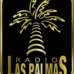 Entrevista Narain Radio Las Palmas