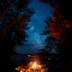 Campfire Stories 13 (Halls of Trees) by Silent Wanderer
