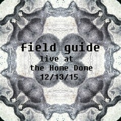 Live @ the Home Dome (12 - 13 - 15)