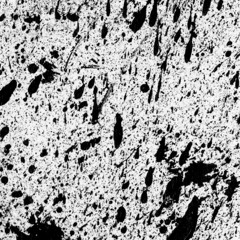 Tshubbi Hatshio [2015 version]