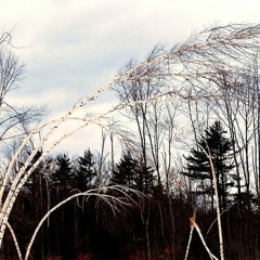 Beginning To Feel The Years (Brandi Carlile Cover)