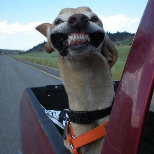 SMILE