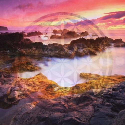 Zen Dub - Archipelago [Sentience Records] OUT NOW