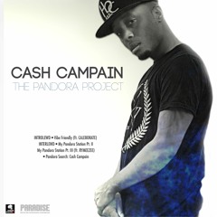 Pandora Search: Cash Campain