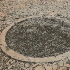 flowerbed