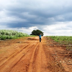 Nessa Longa Estrada