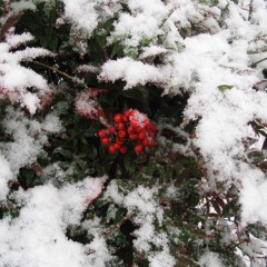 God Rest Ye Merry Gentlemen