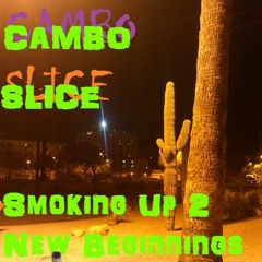 Trickle-Don Cheedle ft Cambo