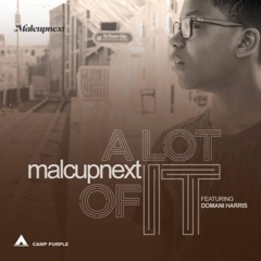 MalcUpNext- A Lot Of It Ft. Domani