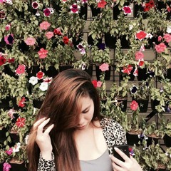 Roses - The Chainsmokers (Cover)