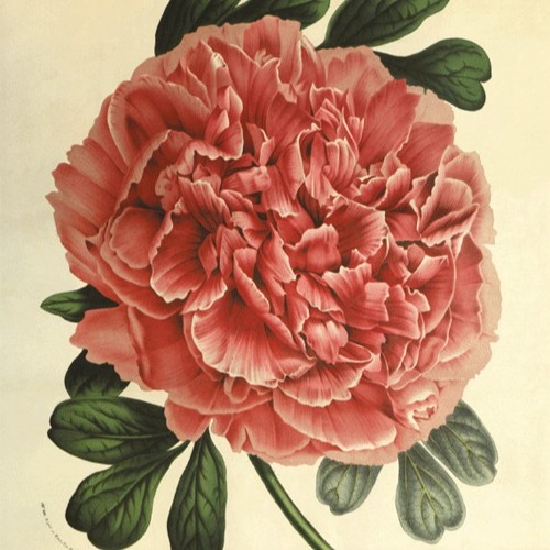 Flowers Remix ft. Kanye, Talib Kweli, and Common