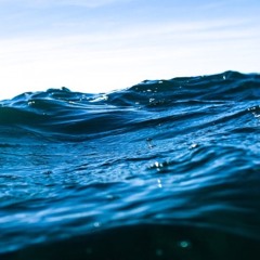 cover - every lie Meg Mac