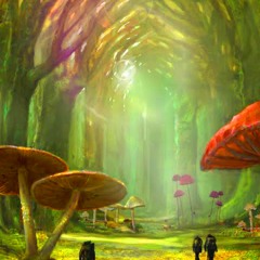 Jungle Walk