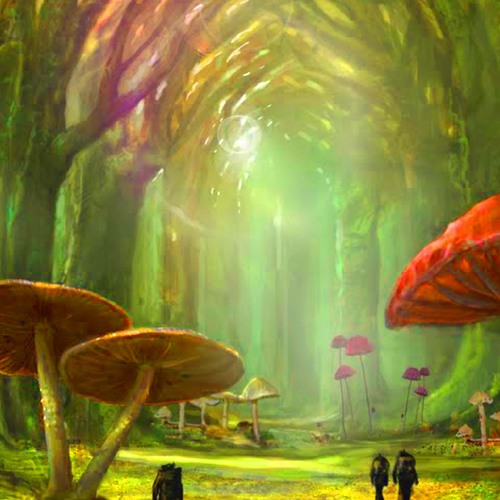 Jungle Walk