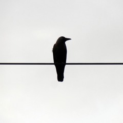 Man On A Wire (Snippet Cover)