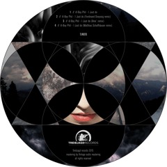 Ill-Boy Phil - I Just Do (Mathias Schaffha݈user Remix)