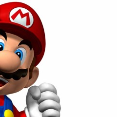 Super Mario FUTURE HOUSE