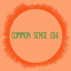 COMMON SENSE 016 • December 2015