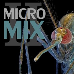 Picky Pickles - MicroMix II