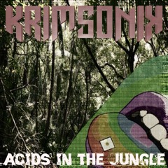 Krimsonik ( Acids In The Jungle ) Hard Techno Version