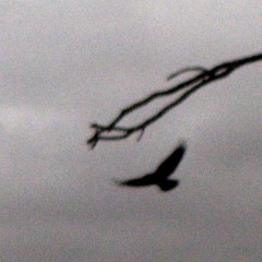 Waves (Slowdive Cover)