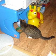 Galaxias Eternas - Magic Mutant Mirror Multiverse