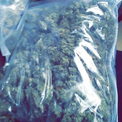 ?I'm doing this shit?