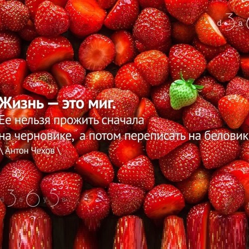 Цитата о жизни