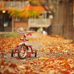 The Adventures of Bobby and His Tricycle