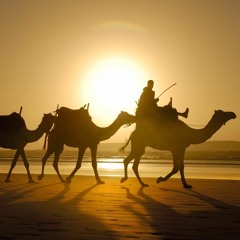 Michael K - Under The Sun