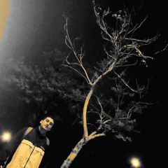 Carmonansel - ¡LO QUE SOY!  | • FUNESTA DICCIÓN • // EnmiseriasB