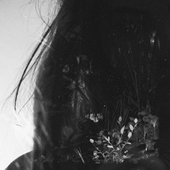 Hitmane - Mark My Words