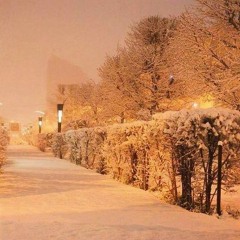 "Улаанбаатарын Үдэш"