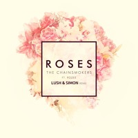 The Chainsmokers ft. Rozes - Roses (Lush & Simon Remix)