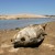 Artwork for Folsom Lake