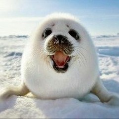 Hitman Announcement Trailer Song Composition Again Jesper Kyd