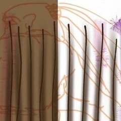 Improvisation Pt 1 - Live Hazard London Dec 15 2015