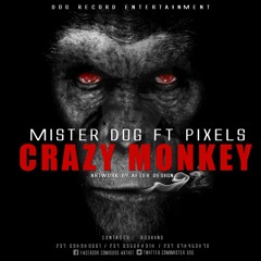 Mister dog ft Pixels CRAZY MONKEY prod by Djinn and Heriq mp3