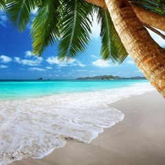 Oliver $ & Jimi Jules - Pushing On (Ceska Bootleg)