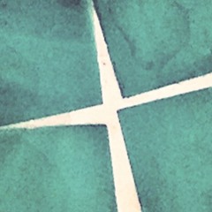 CGULL11