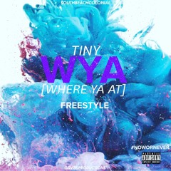 WYA Freestyle(Prod.by Klipz)