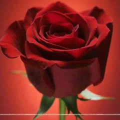 ولا بيناتنا المسافة