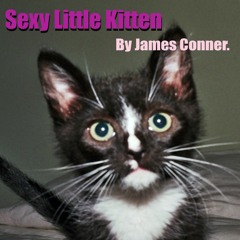 Sexy Little Kitten - James Conner