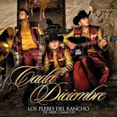Los Plebes Del Rancho De Ariel Camacho-Que Caro Estoy Pagando 2015