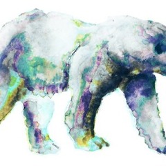 Polar Express Ft 1Real