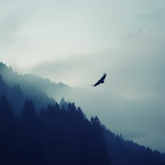 Just.. Wow.
