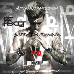 Dj Flexij Mashup Justin Bieber Sorry Instumental Vs Chris Brown Bitches N Marijuana Vs Ayo
